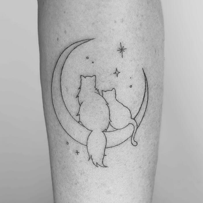 Gatos