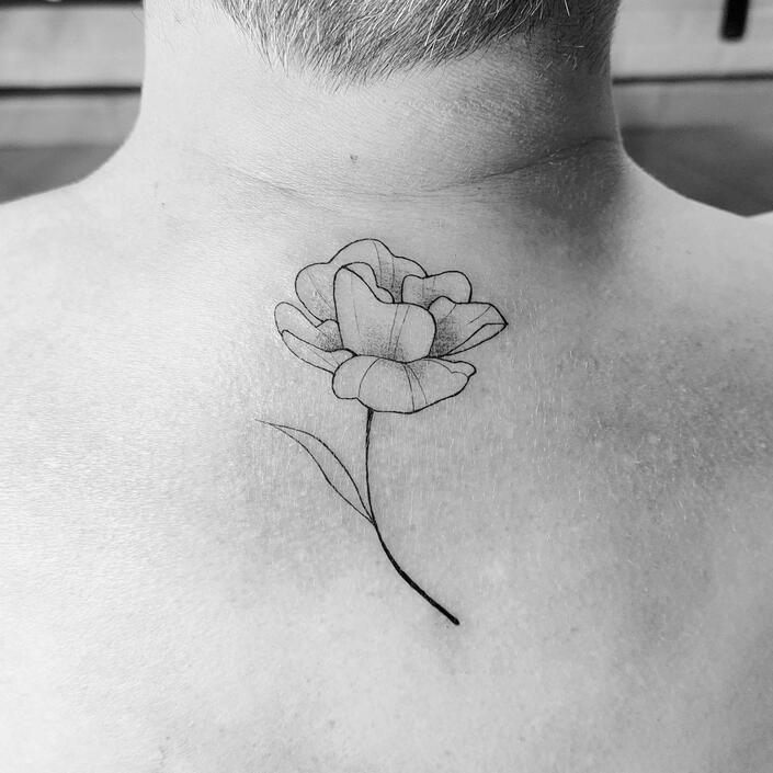 Amapola